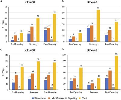 Cell Wall Compositions of Sorghum bicolor Leaves and Roots Remain Relatively Constant Under Drought Conditions